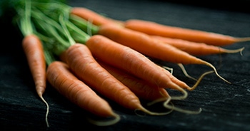 Carrot season deals